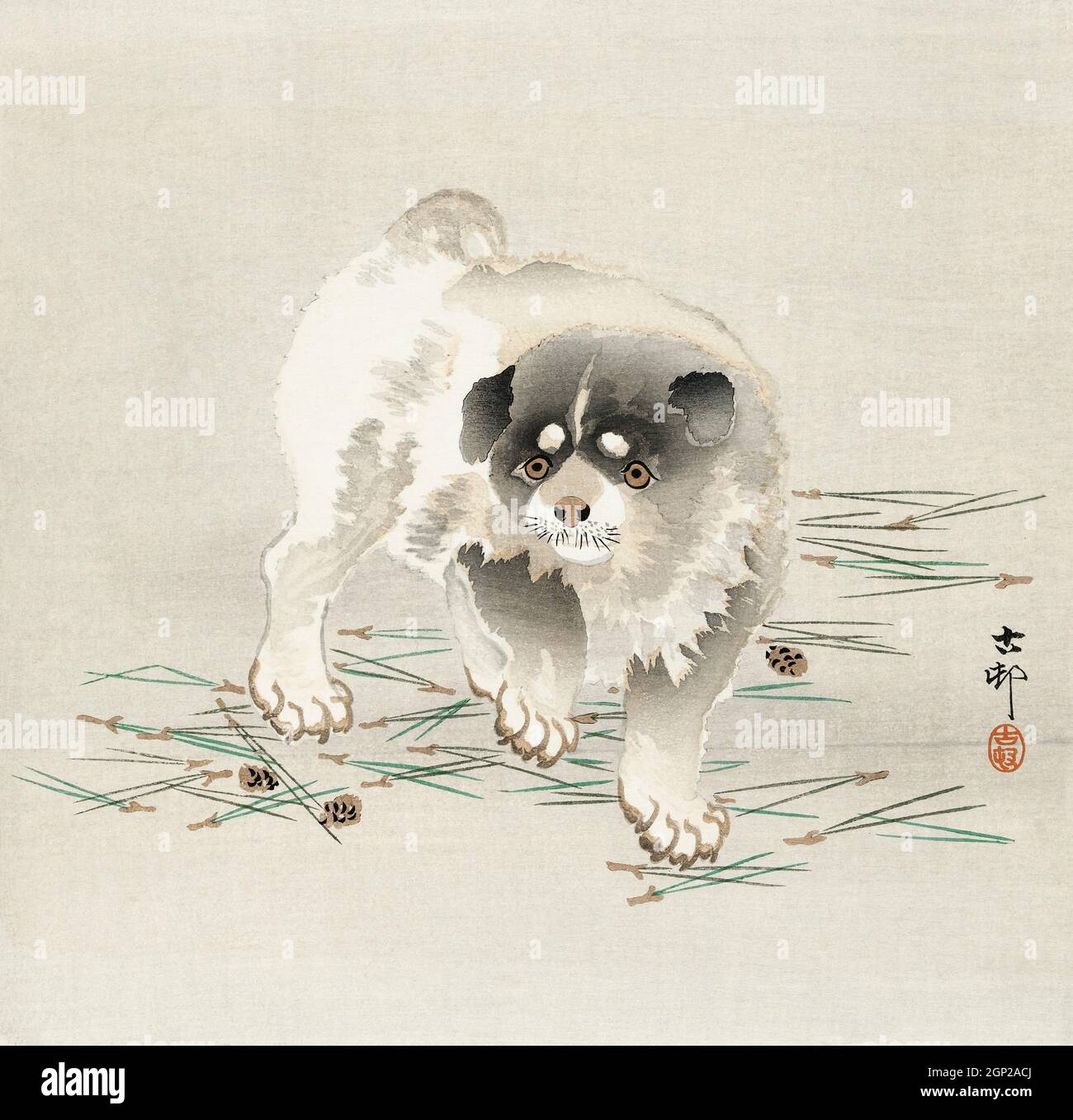 Japanese dog drawing hi-res stock photography and images - Alamy