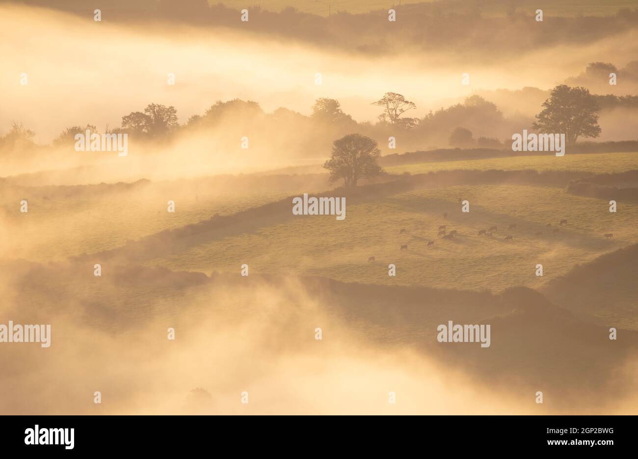 Morning cloud inversion hi-res stock photography and images - Alamy