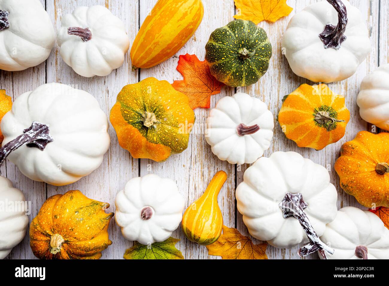 Autumn side border of white pumpkins and autumn leaves over a rustic ...