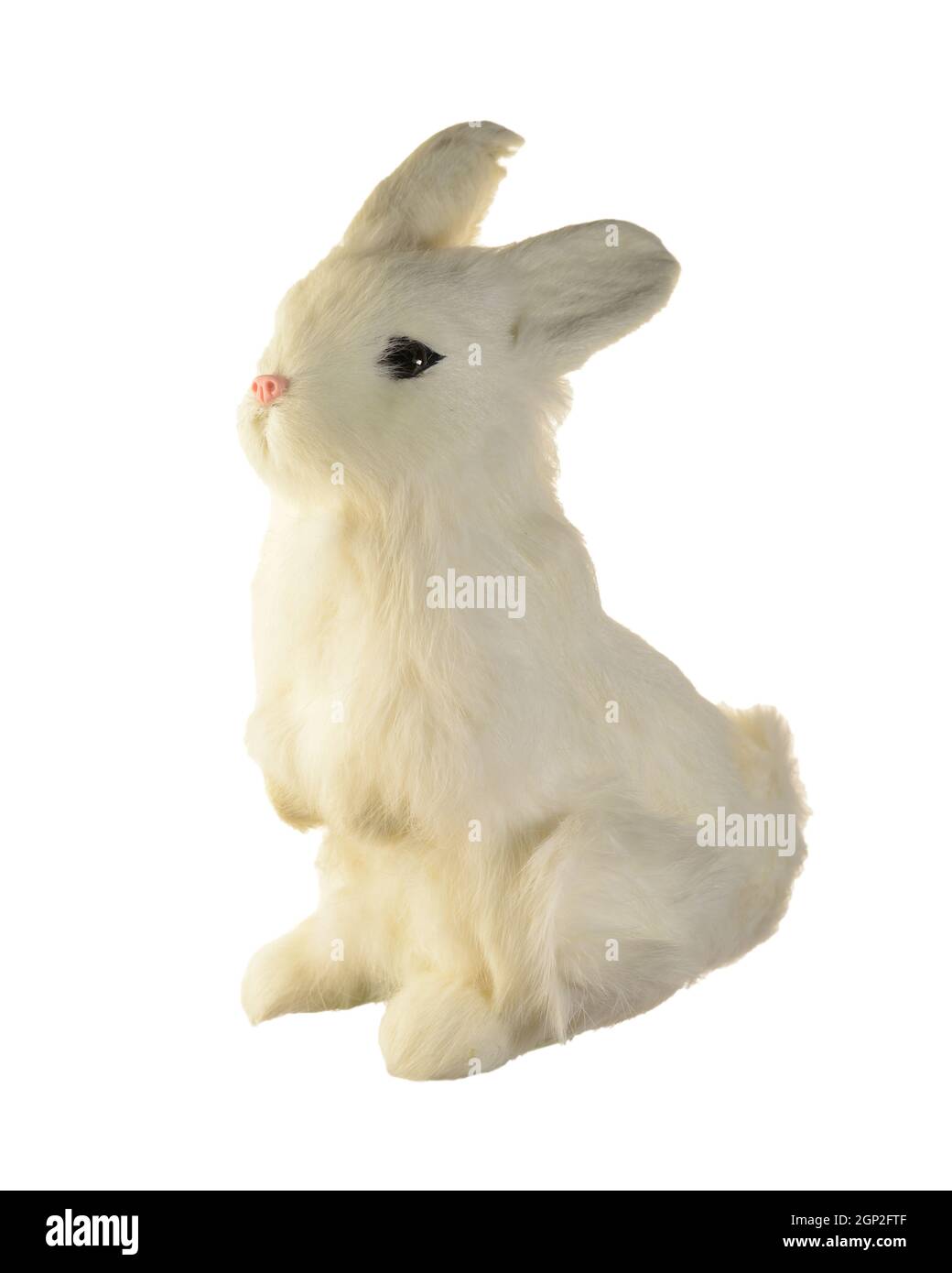 An isolated white rabbit over a clean bright background Stock Photo Alamy