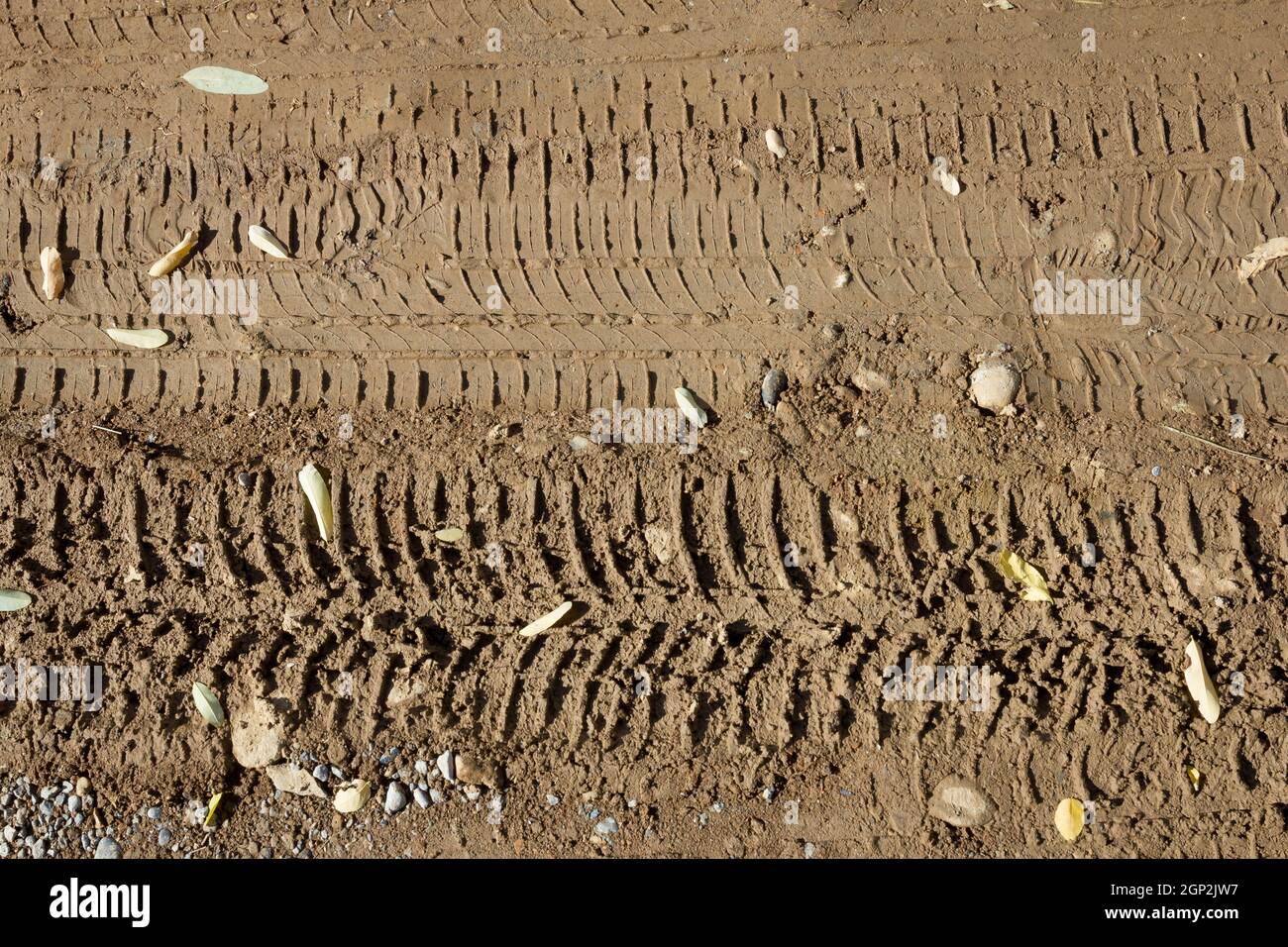 Wheel tracks. Track offroad of a tire. Wheel tracks on the muddy