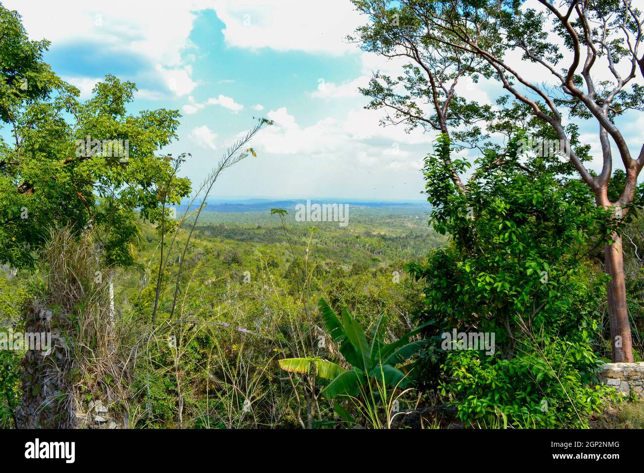 View on Gran parque natural Topes de Collantes national park in Cuba. Travel and tourism. Stock Photo