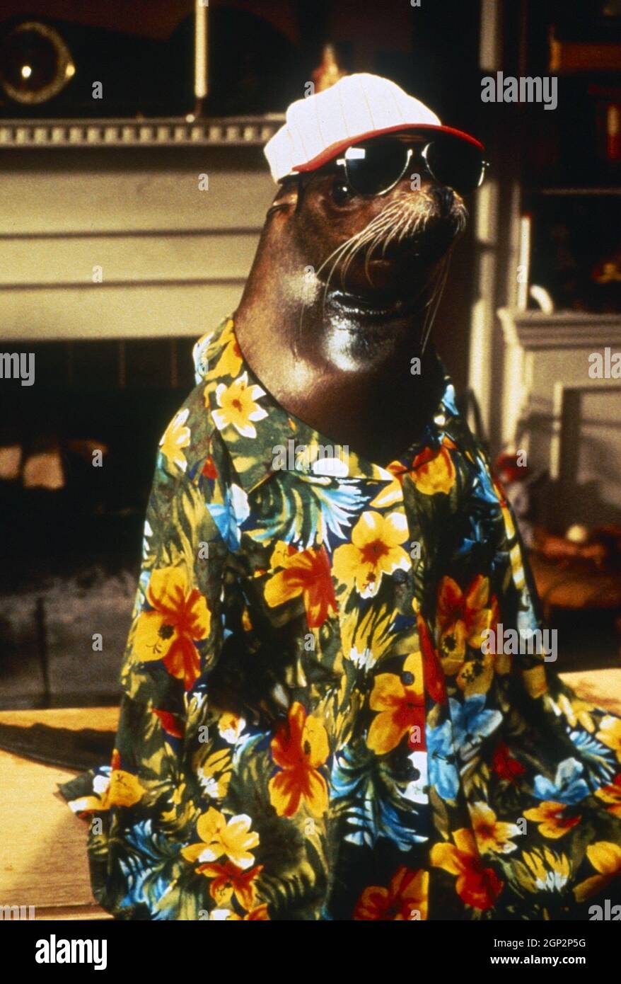 Andre The Seal Movie