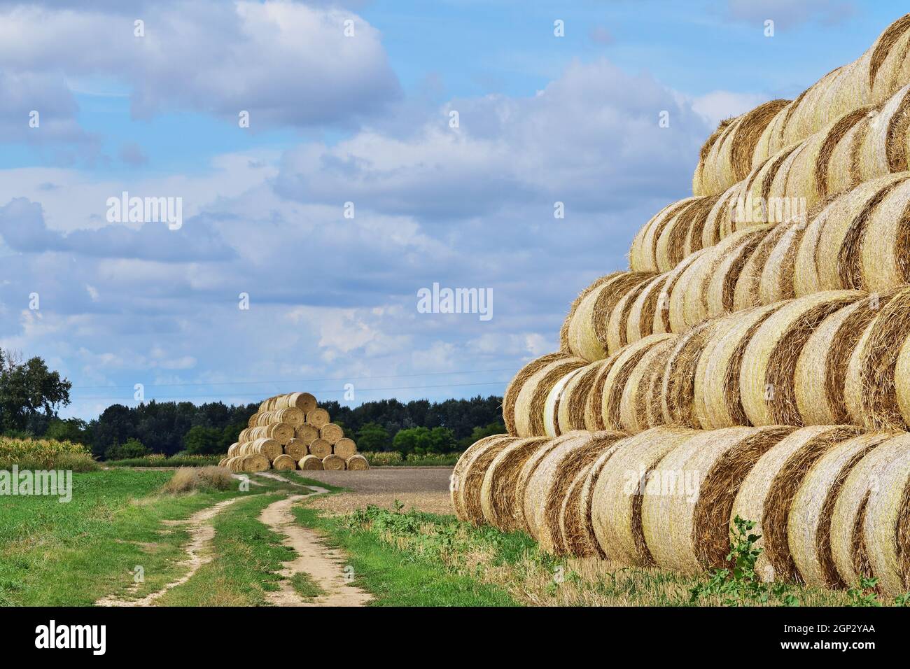 Rural landscape with hay bales and dirt road near Csorna, Hungary Stock Photo