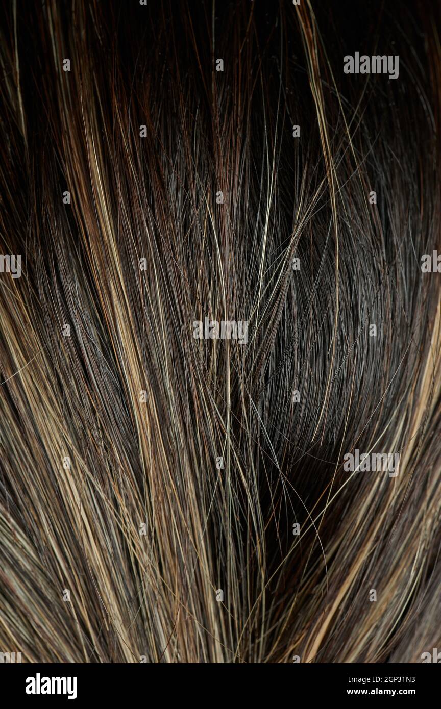 Mixed hair background. Dark and light hair texture Stock Photo