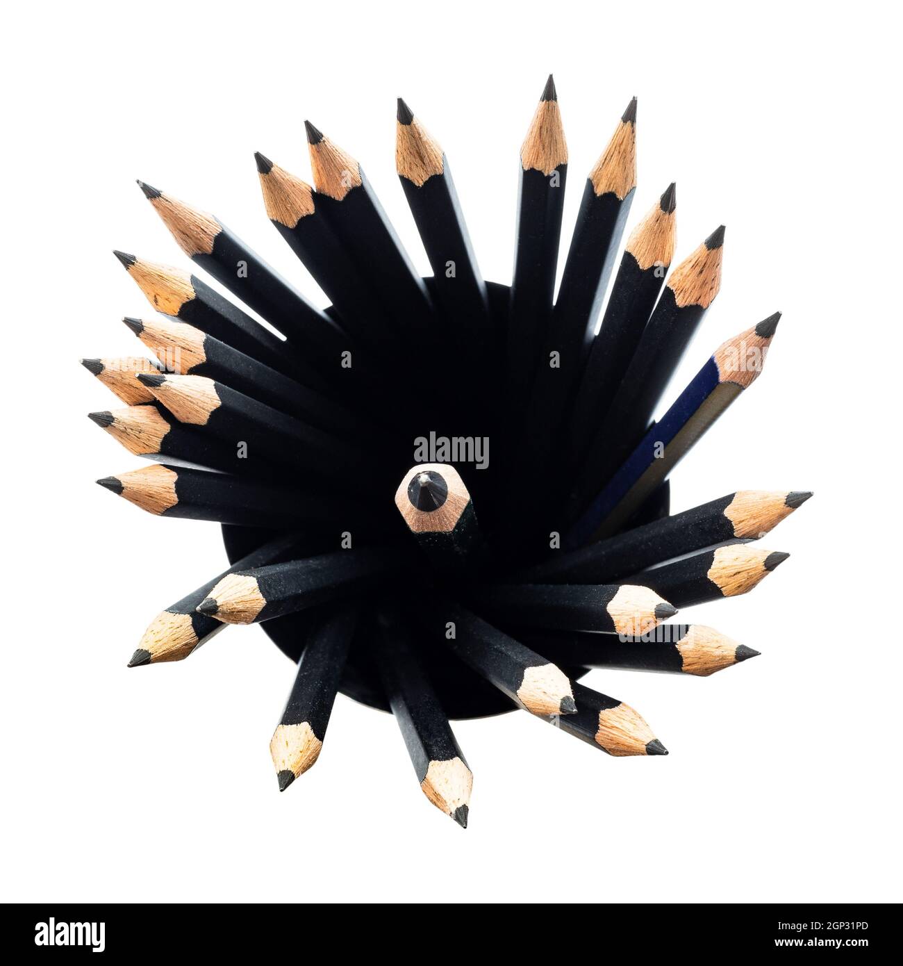 top view of many black graphite pencils in round holder with lead pencil in center isolated on white background Stock Photo