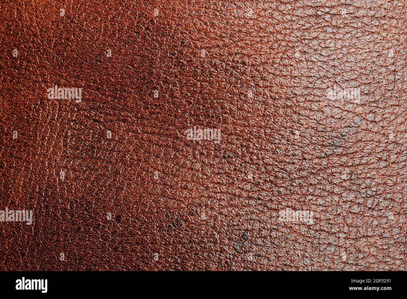Brown leather surface macro close up view. Seamless beige color skin Stock Photo