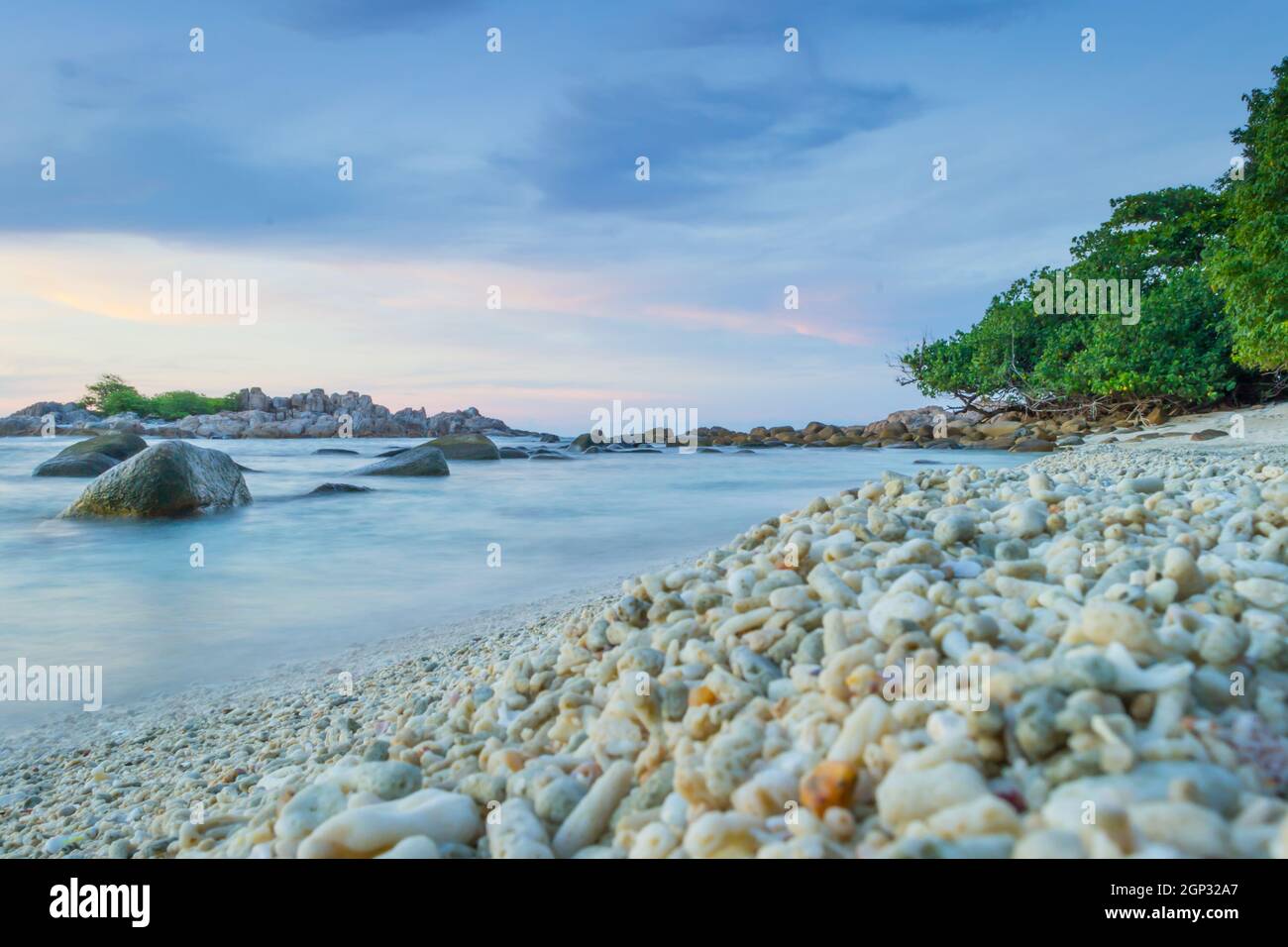 Tropical wallpaper mural hi-res stock photography and images - Alamy