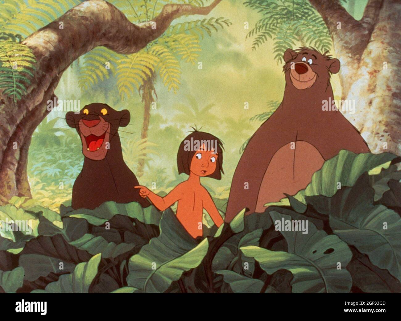 THE JUNGLE BOOK, from left: Bagheera, Mowgli, Baloo, 1967. © Walt Disney  Pictures /courtesy Everett Collection Stock Photo - Alamy
