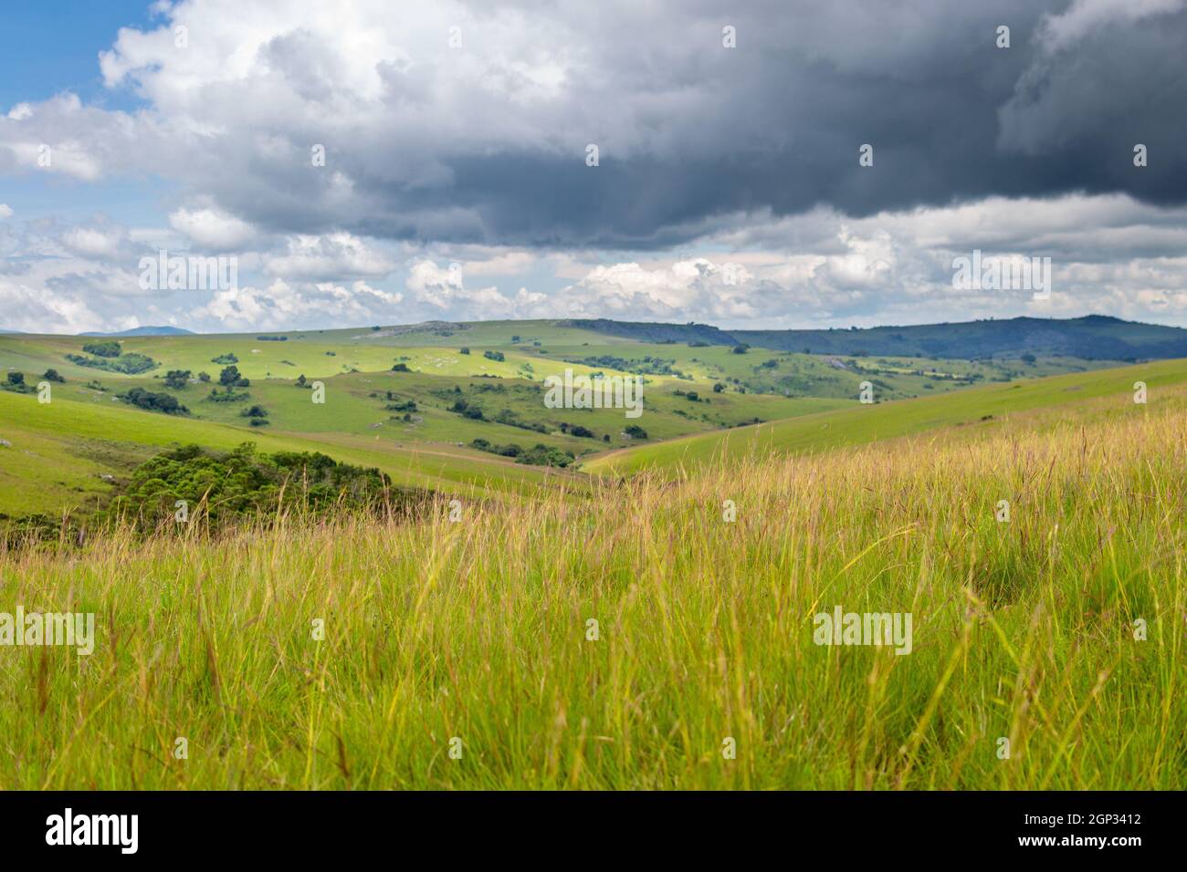 Dramatic landscape and rolling hills under thunderstorm clouds in Nyika National Park in Malawi, Africa Stock Photo