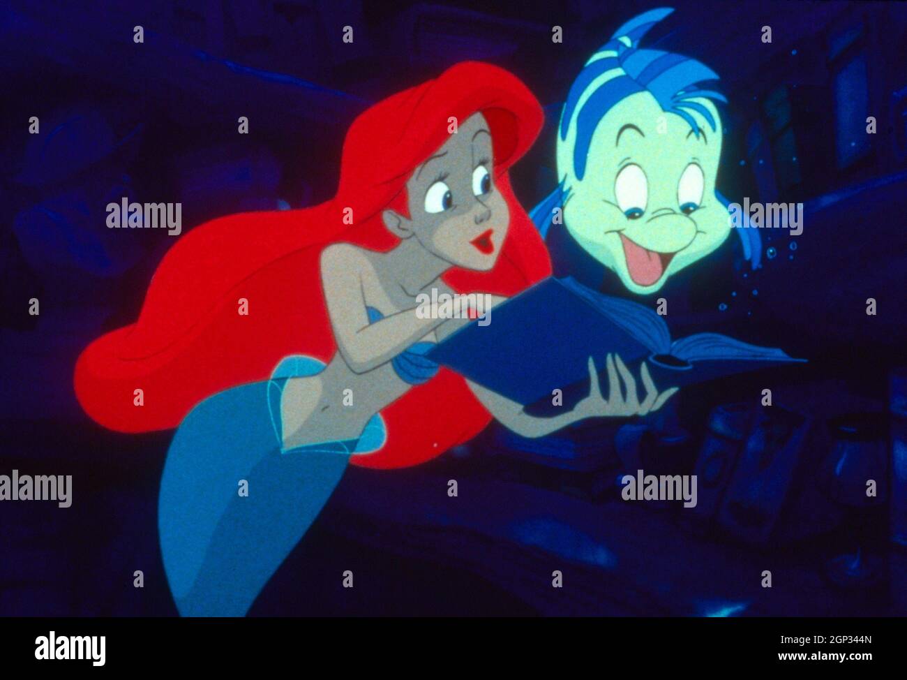 THE LITTLE MERMAID, Ariel, Flounder, 1989. © Walt Disney Pictures / courtesy Everett Collection Stock Photo