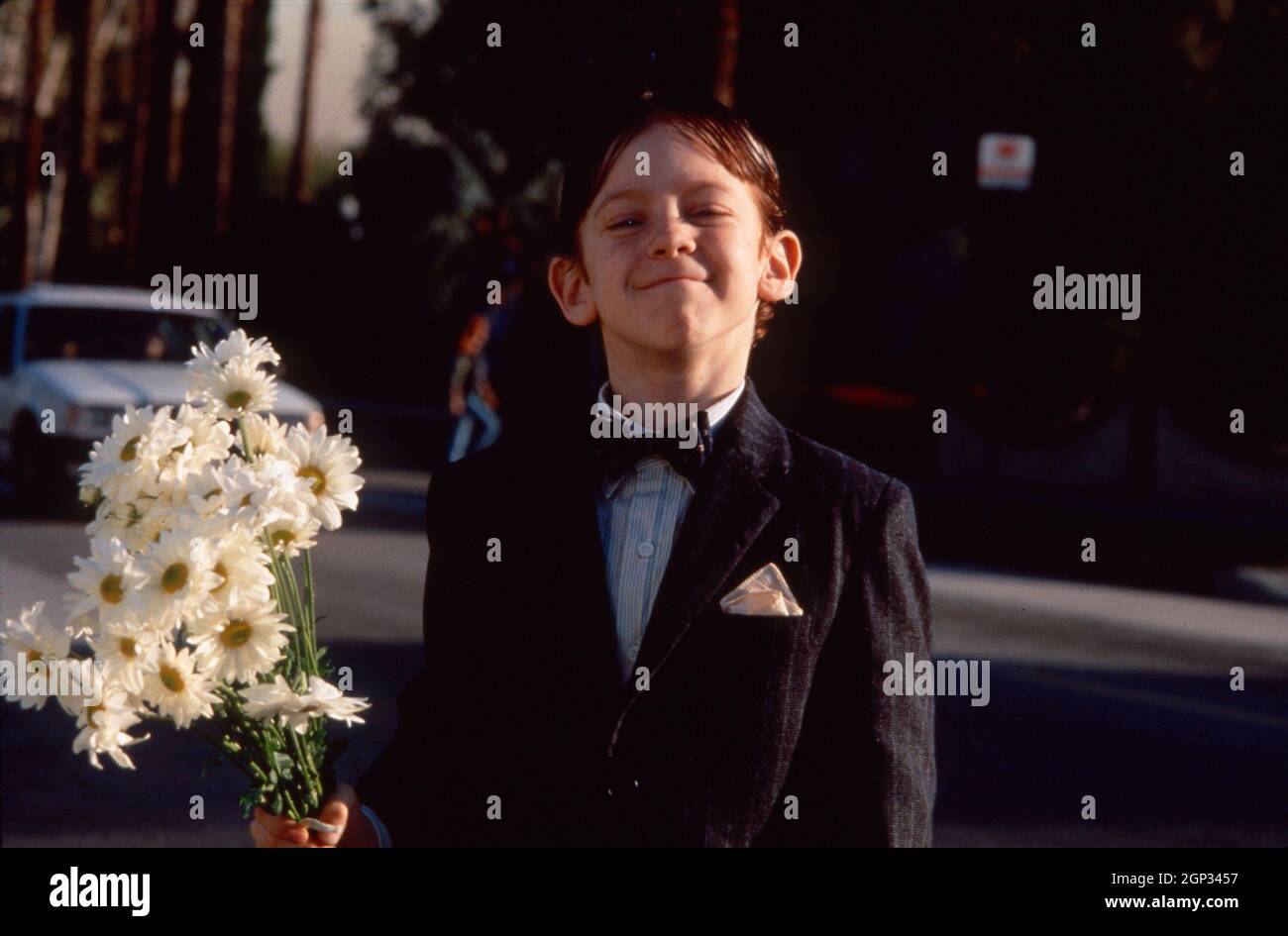 Bug Hall Movies