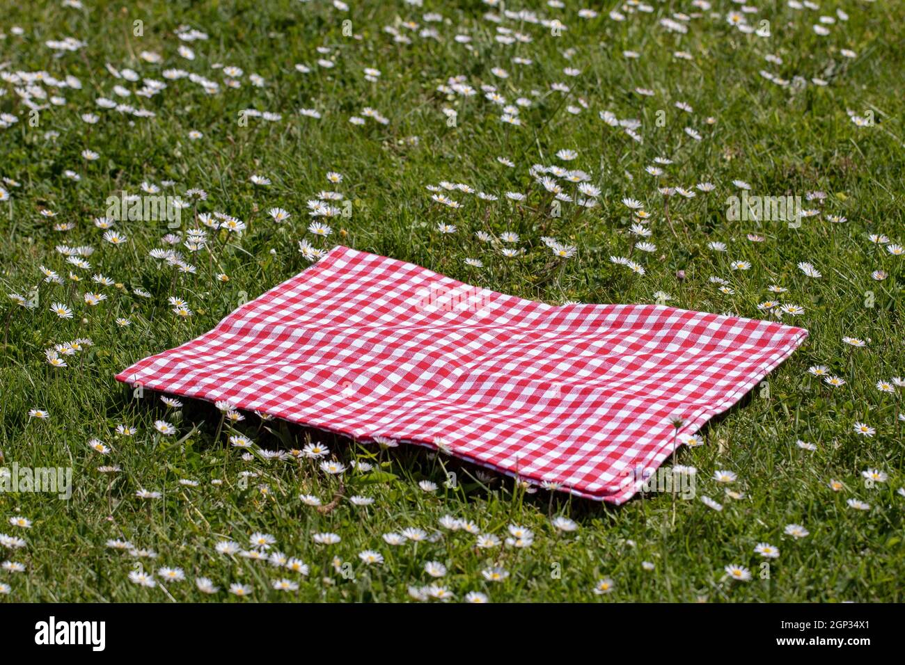Red check picnic blanket hotsell