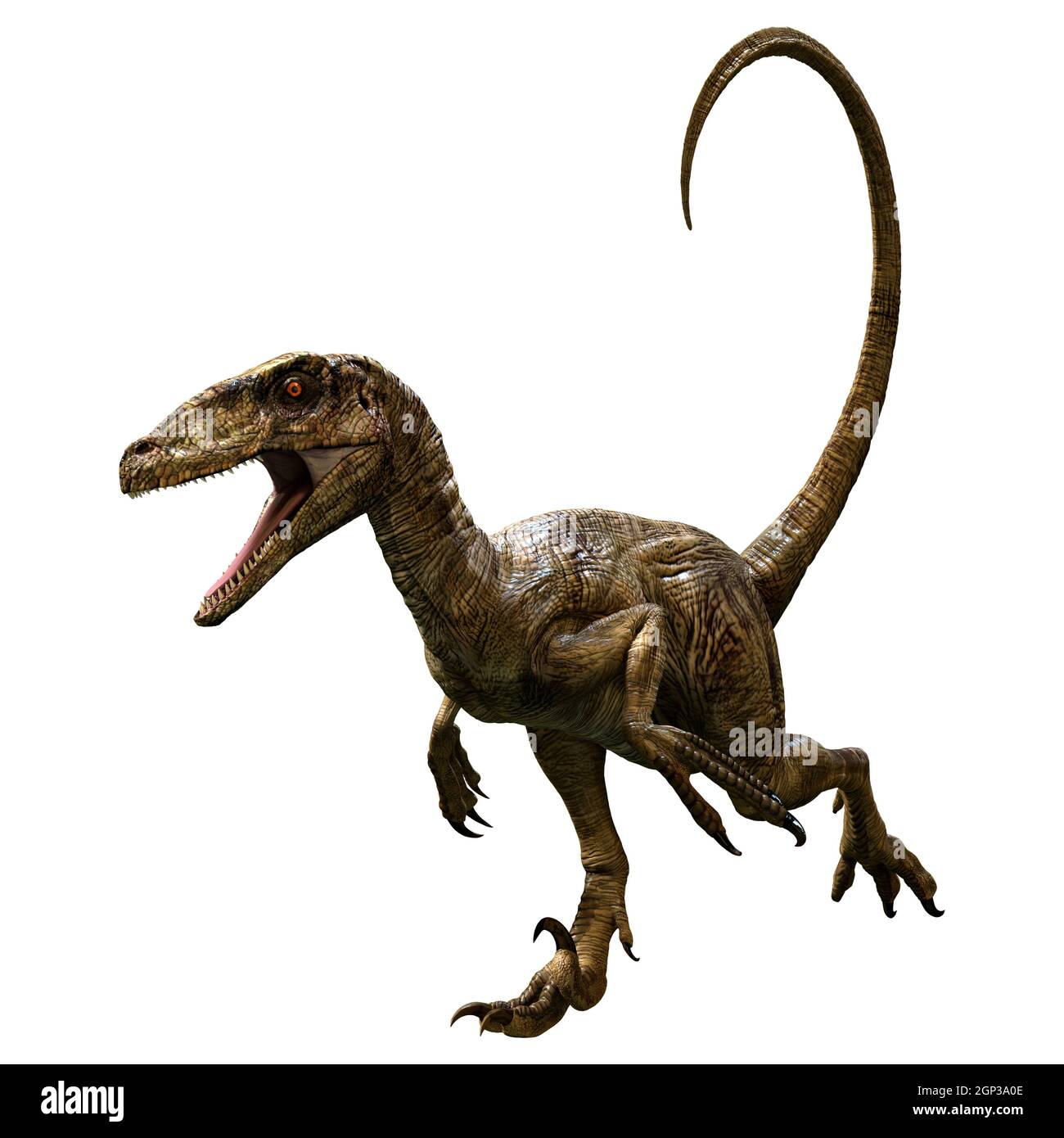 Deinonychus stock image