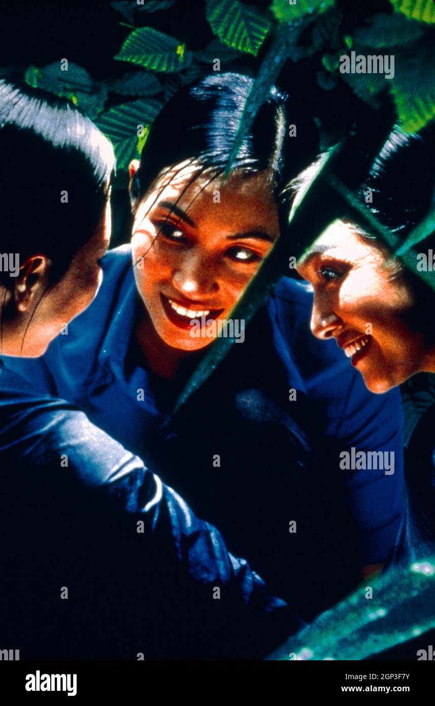 THE VERTICAL RAY OF THE SUN, (aka MUA HE CHIEU THANG DUNG), key art, from  left: Nhu Quynh Nguyen, Nu Yen-Khe Tran, Khanh Le, 2000. ph: Sony Pictures  Classics / courtesy Everett