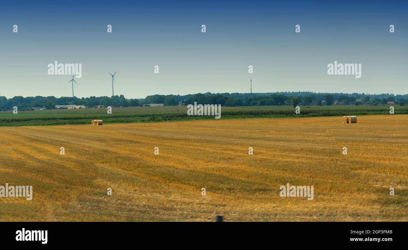 Hay bales on the stubble field at golden sunset Stock Photo