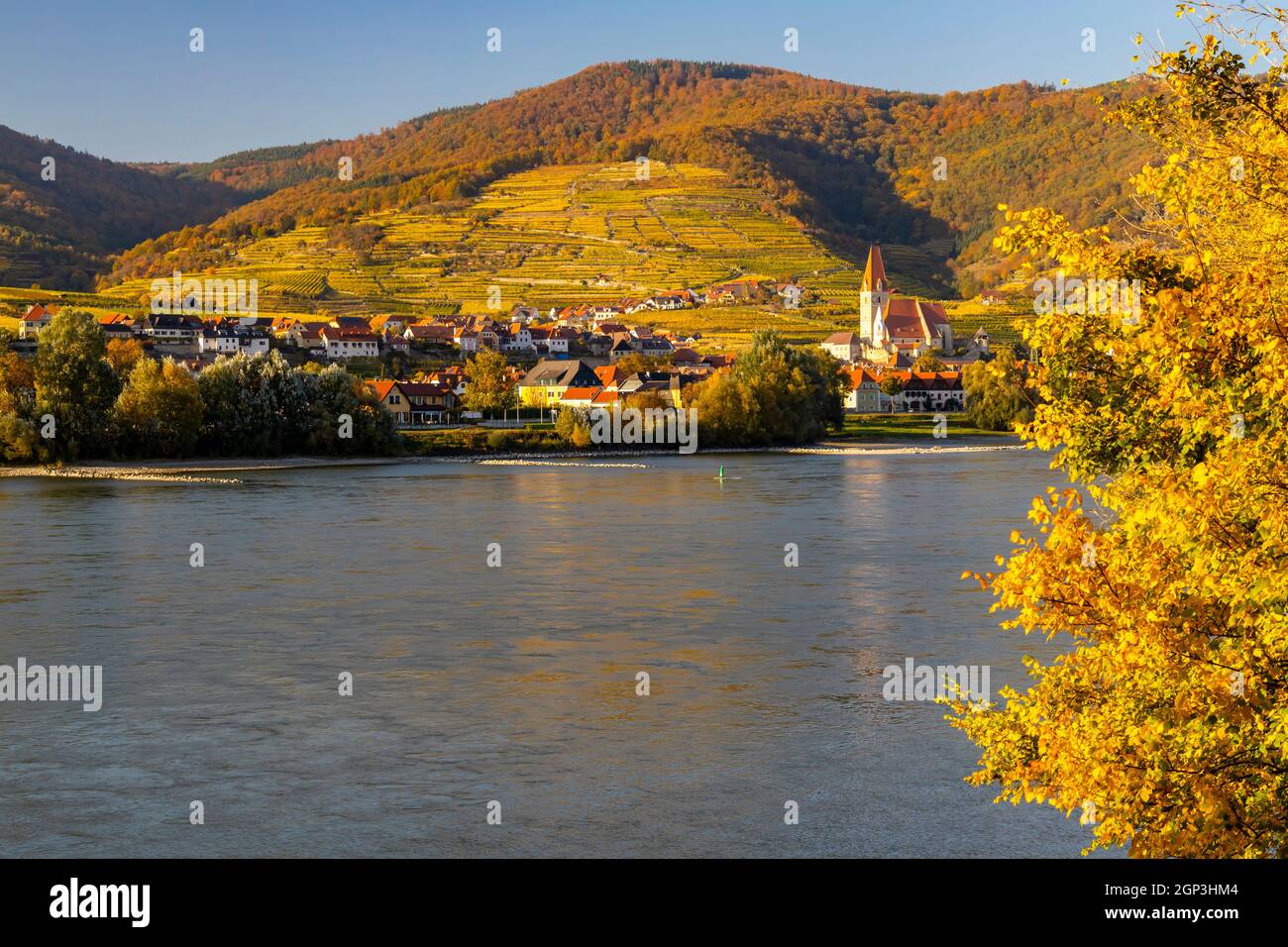 autumn vineyard and Spitz in Wachau region, Austria Stock Photo