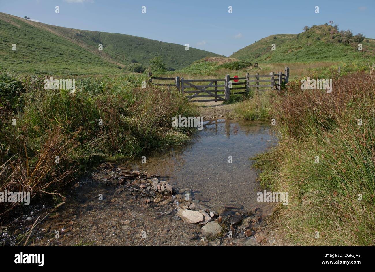 Small Stream of Flowing Water with Stepping Stones and a Wooden Fence and Gate in the Background in the River Barle Valley within Exmoor National Park Stock Photo