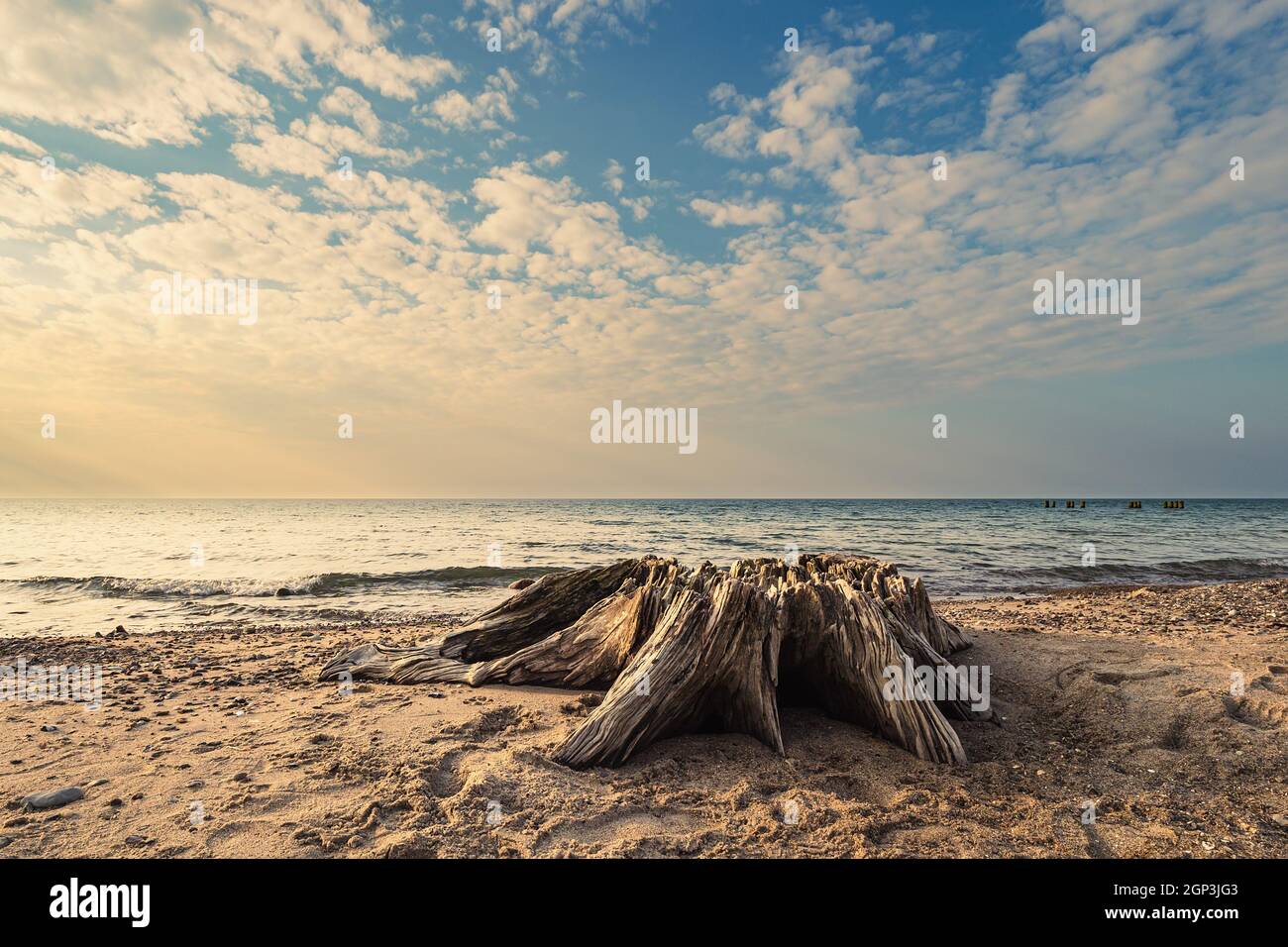 Beach on shore of the Baltic Sea in Graal Mueritz, Germany. Stock Photo