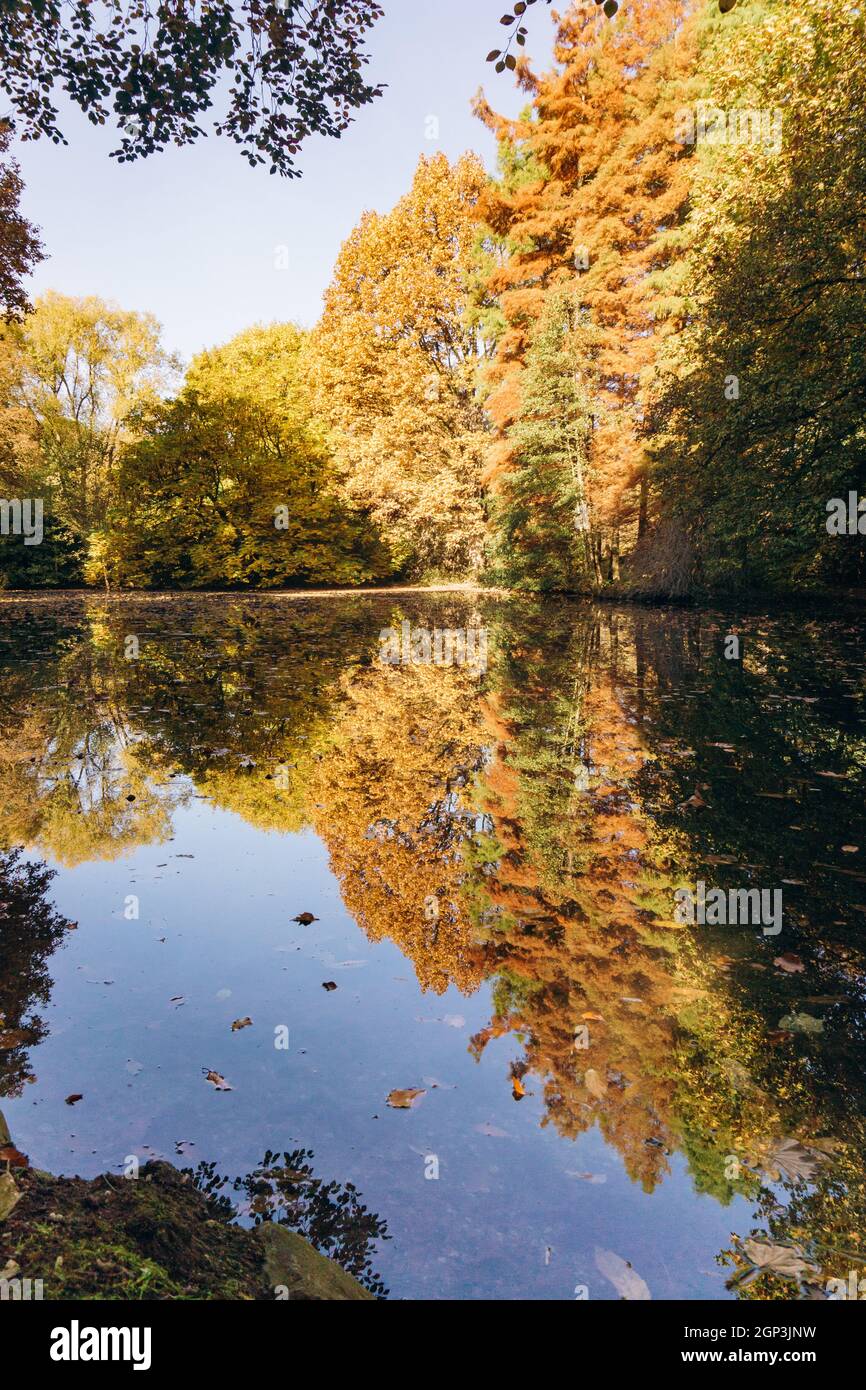 Reflection of autumn trees in the lake. Beautiful autumn landscape on ...