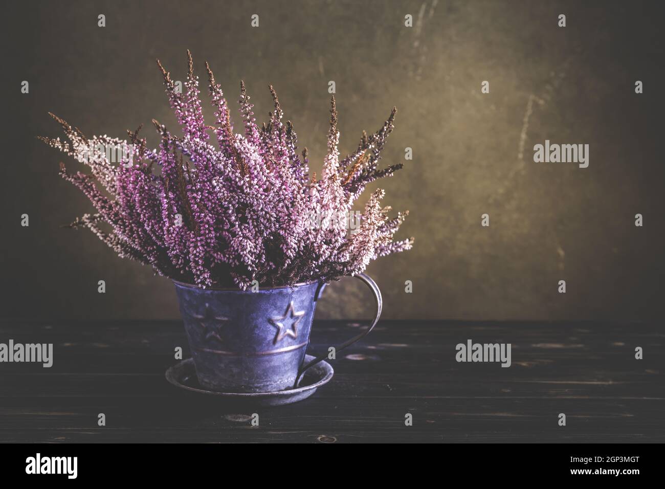 Heather plant (erica) in flower pot on wooden background in vintage style Stock Photo