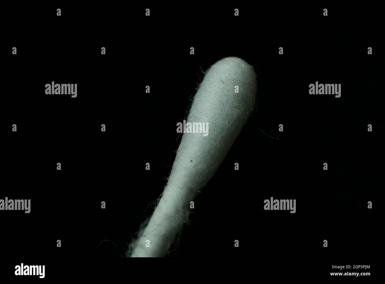 Close up photo of a cotton bud isolated on a black background. Cotton