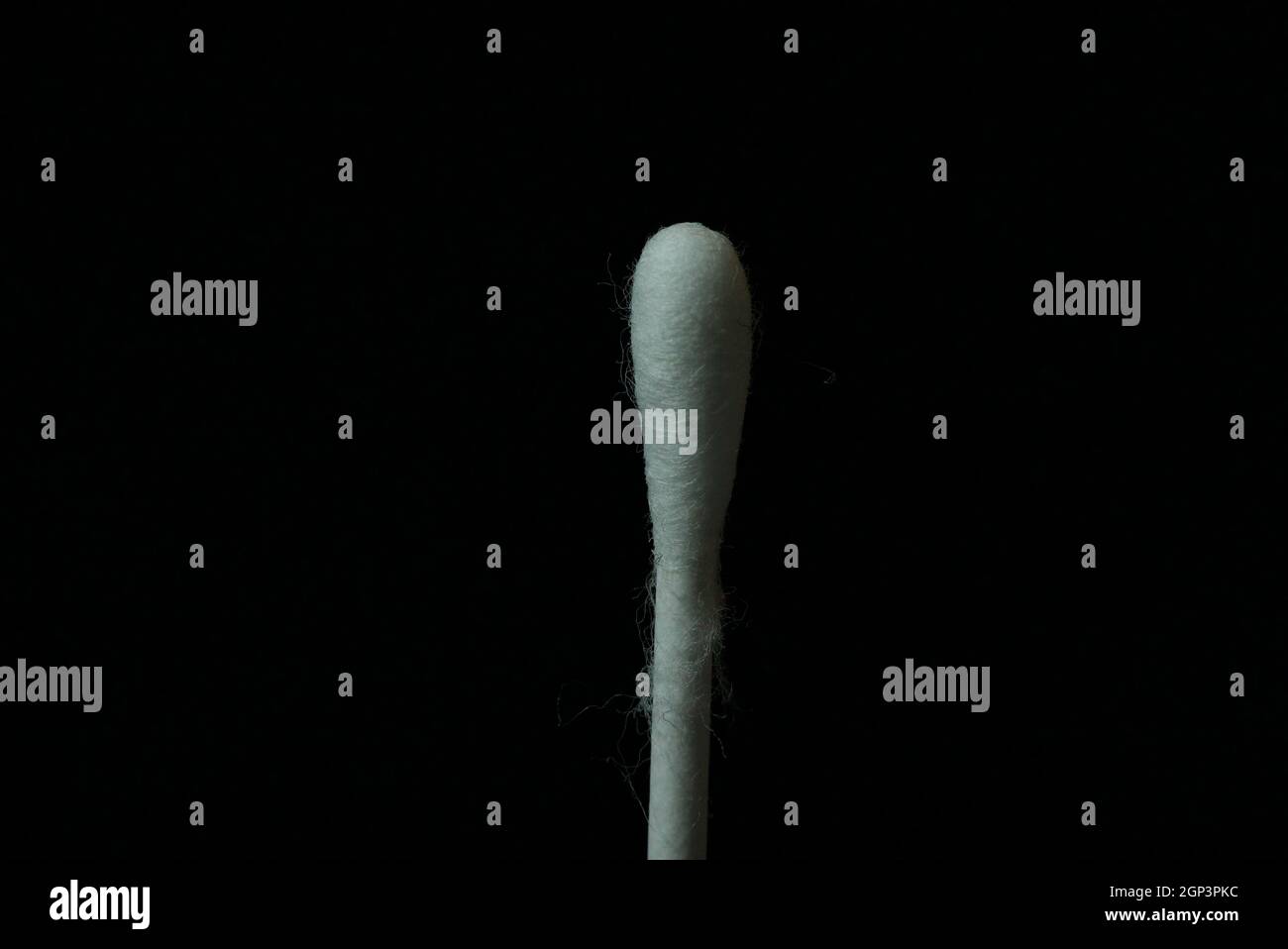 Close up photo of a cotton bud isolated on a black background. Cotton