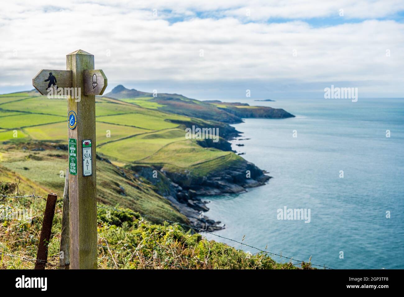 Coastal walk on the St Davids Peninsula, Pembrokeshire, West Wales. UK Stock Photo