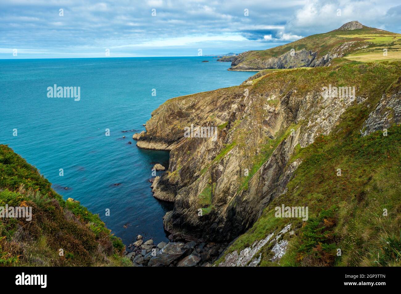 Coastal walk on the St Davids Peninsula, Pembrokeshire, West Wales. UK Stock Photo