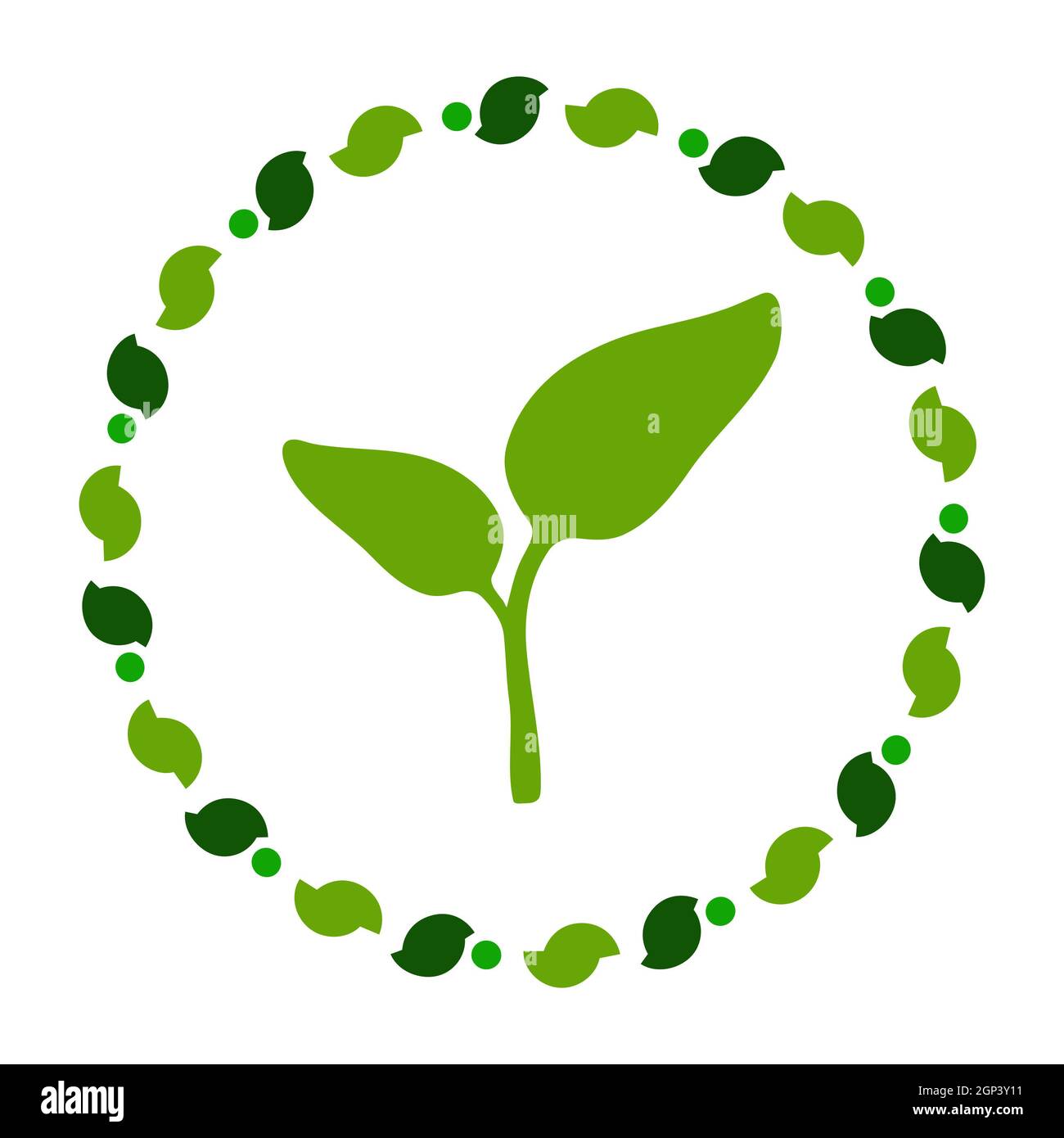 Plant and wreath Stock Photo - Alamy