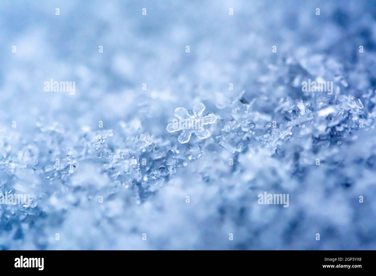 Extreme macro photo of a snowflake. Natural snow texture. Macro texture of snow, snowflakes. Stock Photo