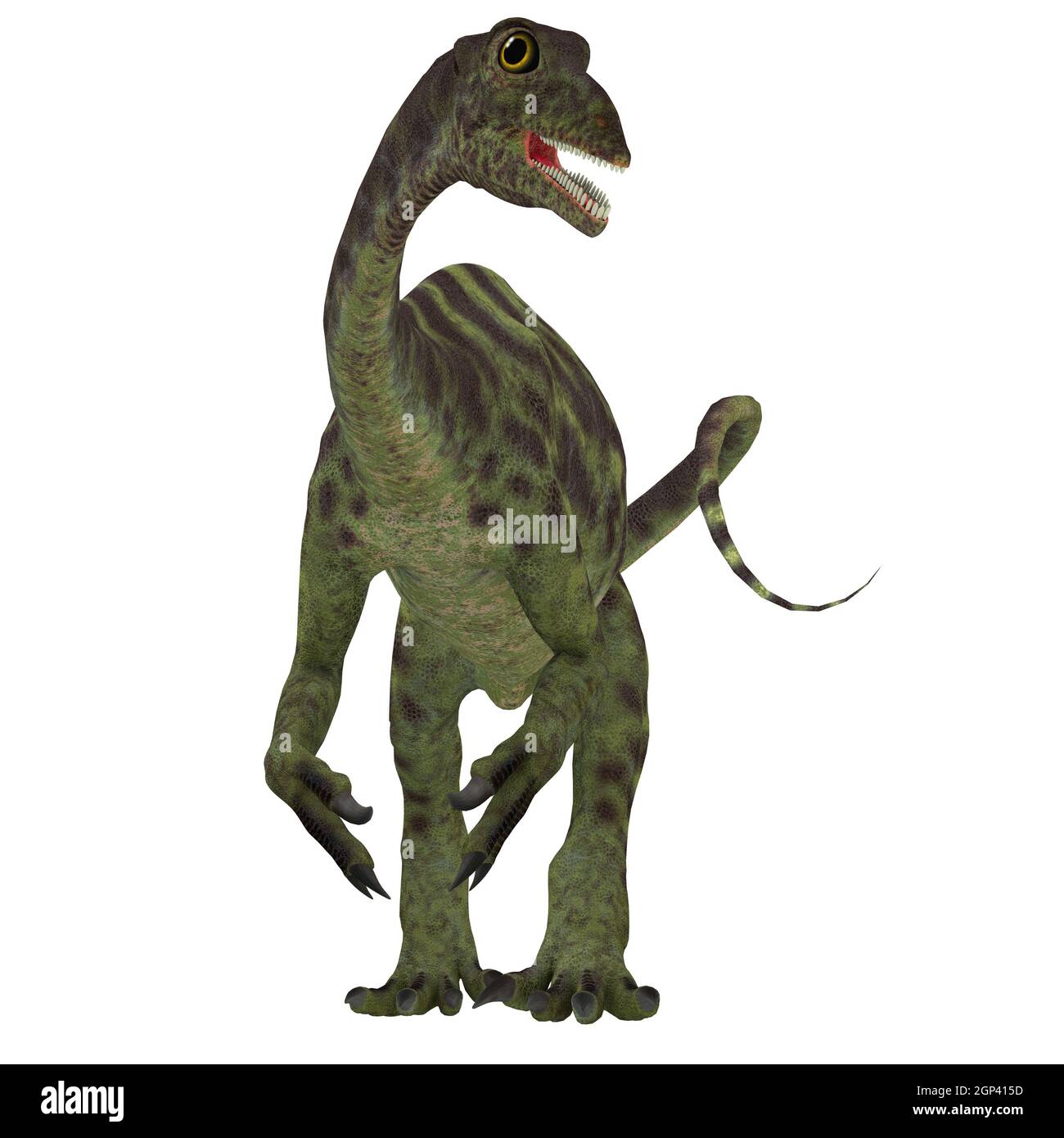 Anchisaurus was a omnivorous prosauropod dinosaur that lived in the ...
