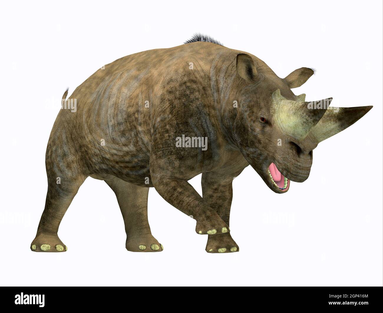 Oligocene period hi-res stock photography and images - Alamy Oligocene period hi-res stock photography and images - Alamy