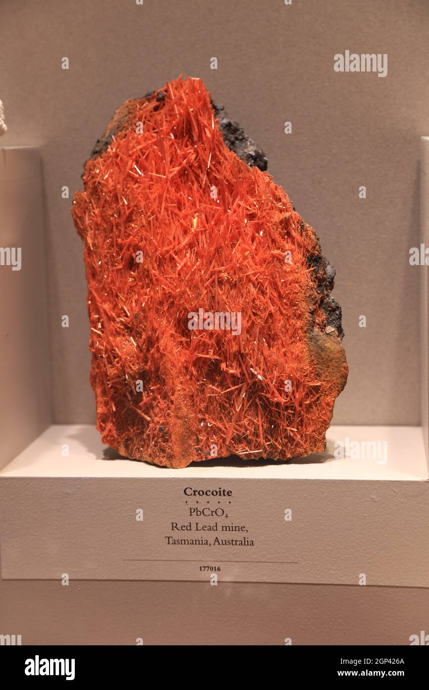 Displays of the Smithsonian Natural History Museum crocoite Stock Photo