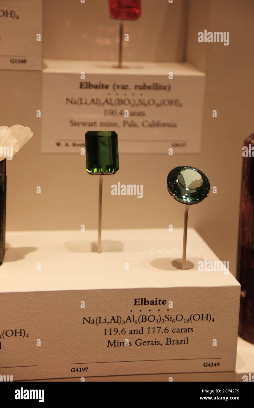 Displays of the Smithsonian Natural History Museum Stock Photo