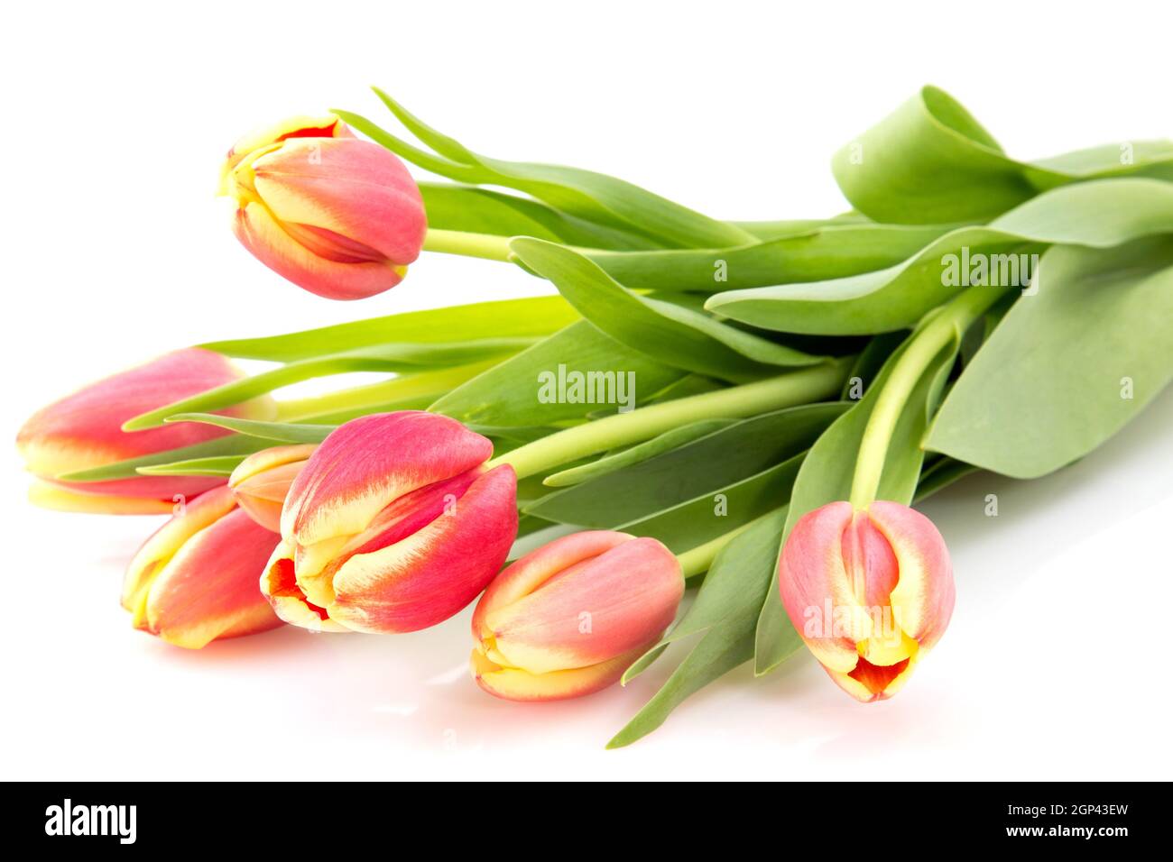 Spring tulips bouquet isolated on white background Stock Photo - Alamy