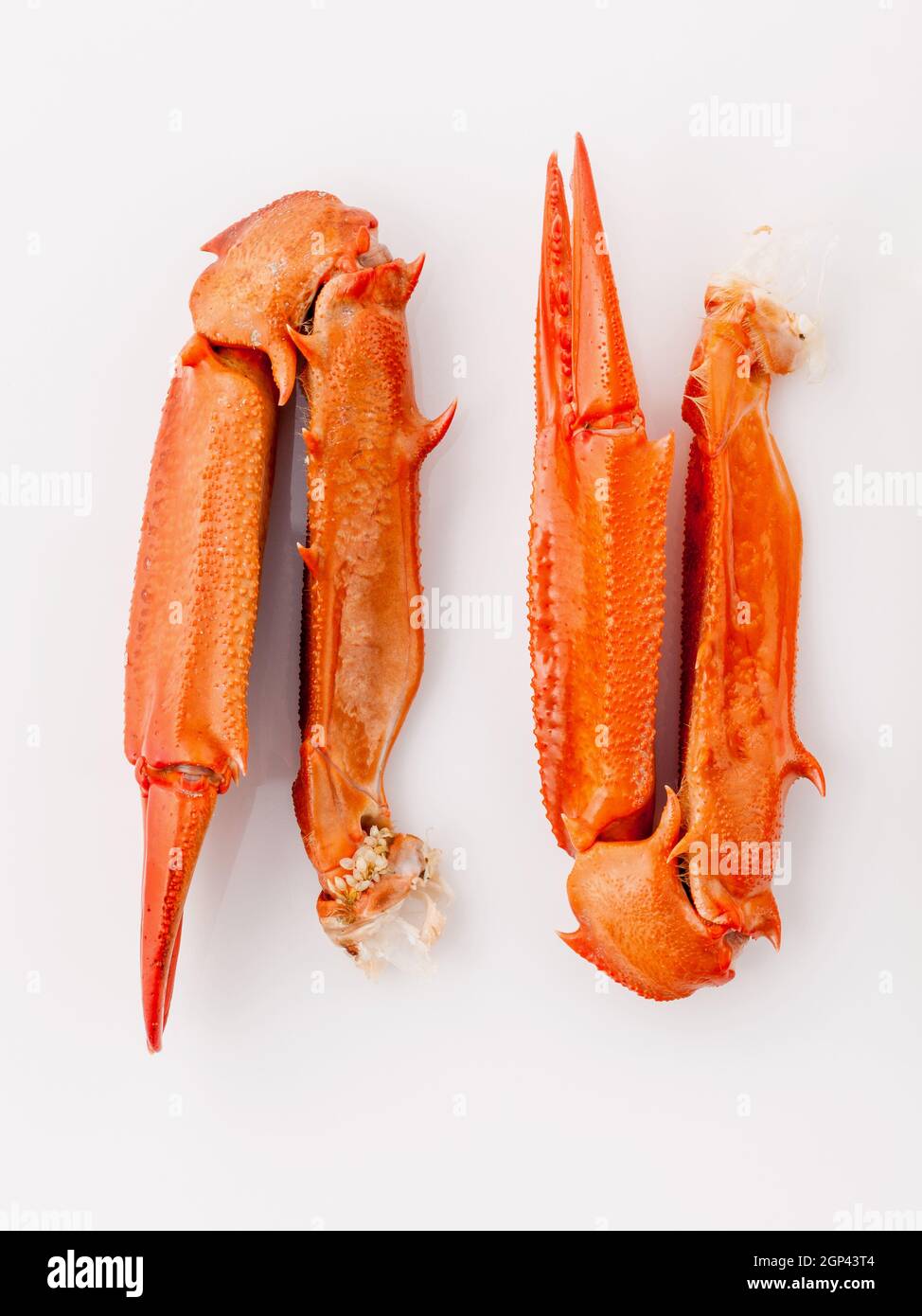 Boiled crab claws isolated on white background for crabs and seafood