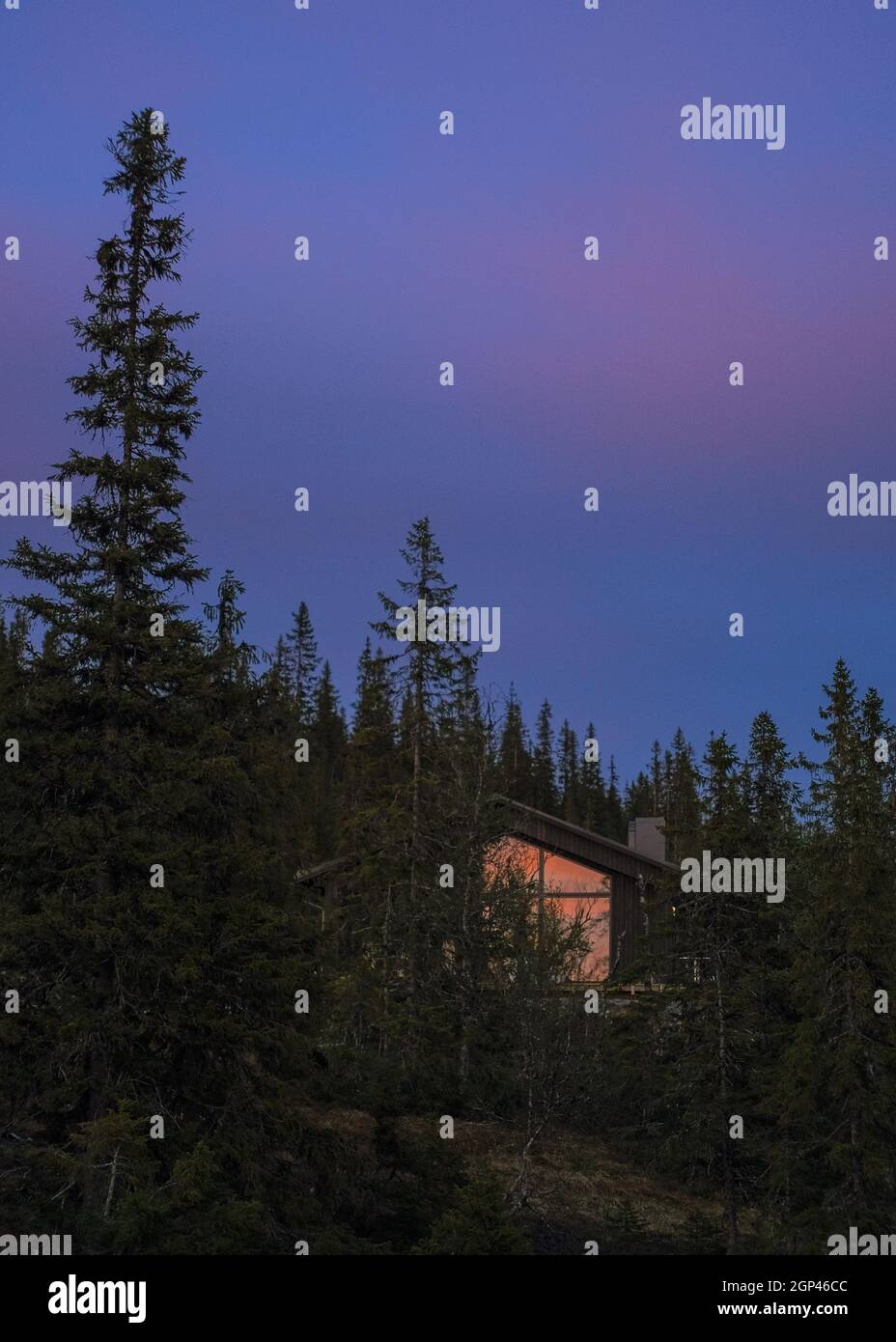 Vertical shot of a cabin surrounded by trees in a forest Stock Photo ...