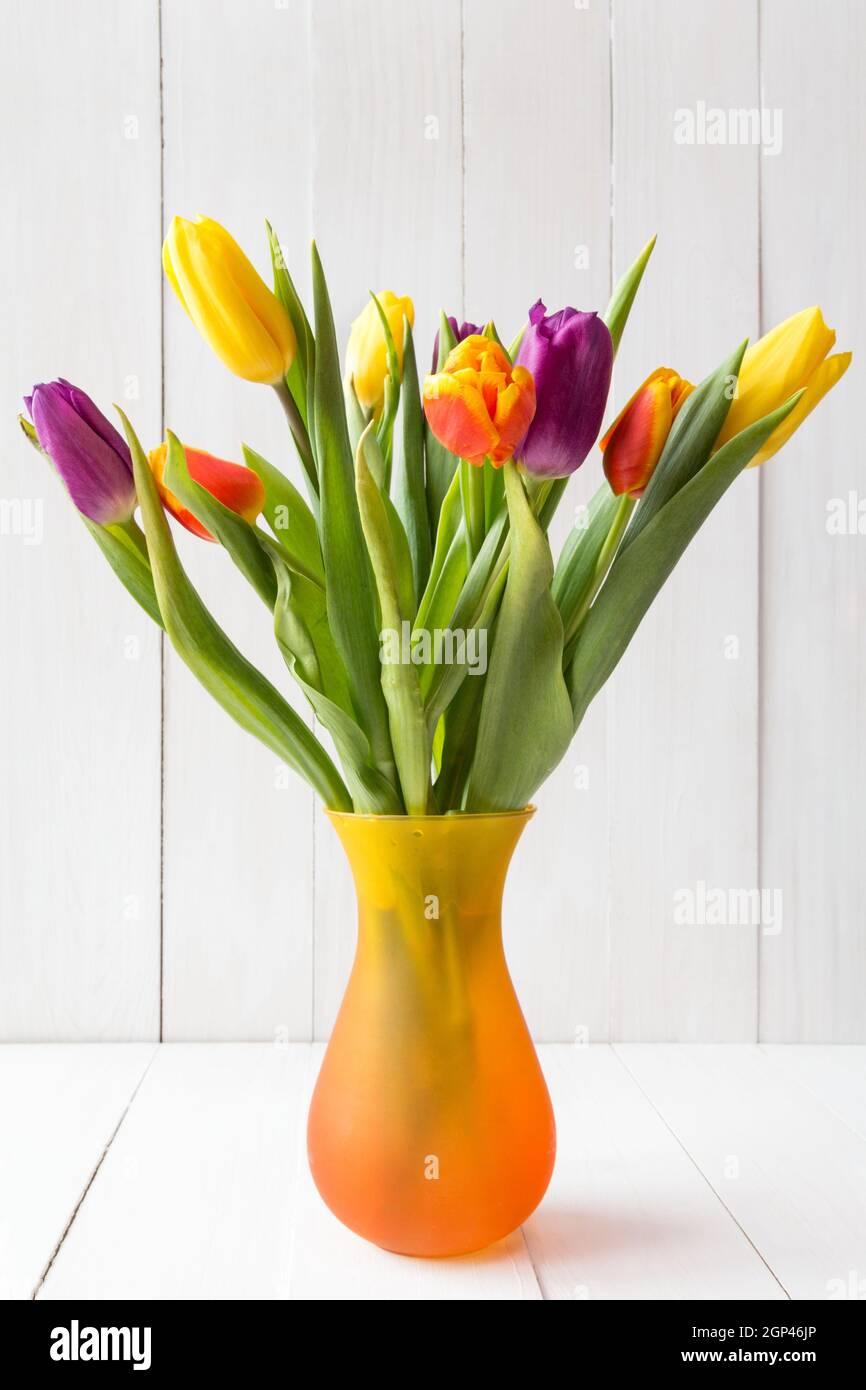 Bouquet of colorful tulips in vase on white wooden background Stock ...