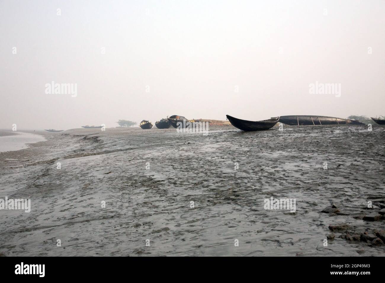 Boats of fishermen stranded in the mud at low tide on the river Matla near Canning Town, India Stock Photo