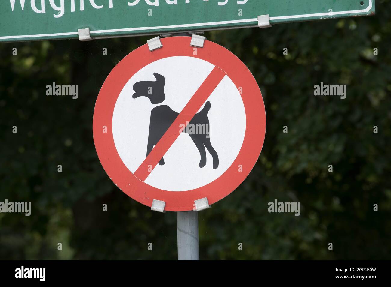 no dogs allowed sign in the park, prohibition of dogs Stock Photo - Alamy