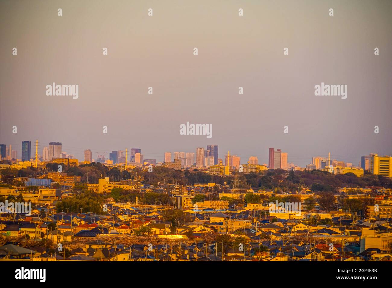 Rooftops of Chofu City, which is wrapped in a sunset. Shooting Location: Chofu, Tokyo Stock Photo