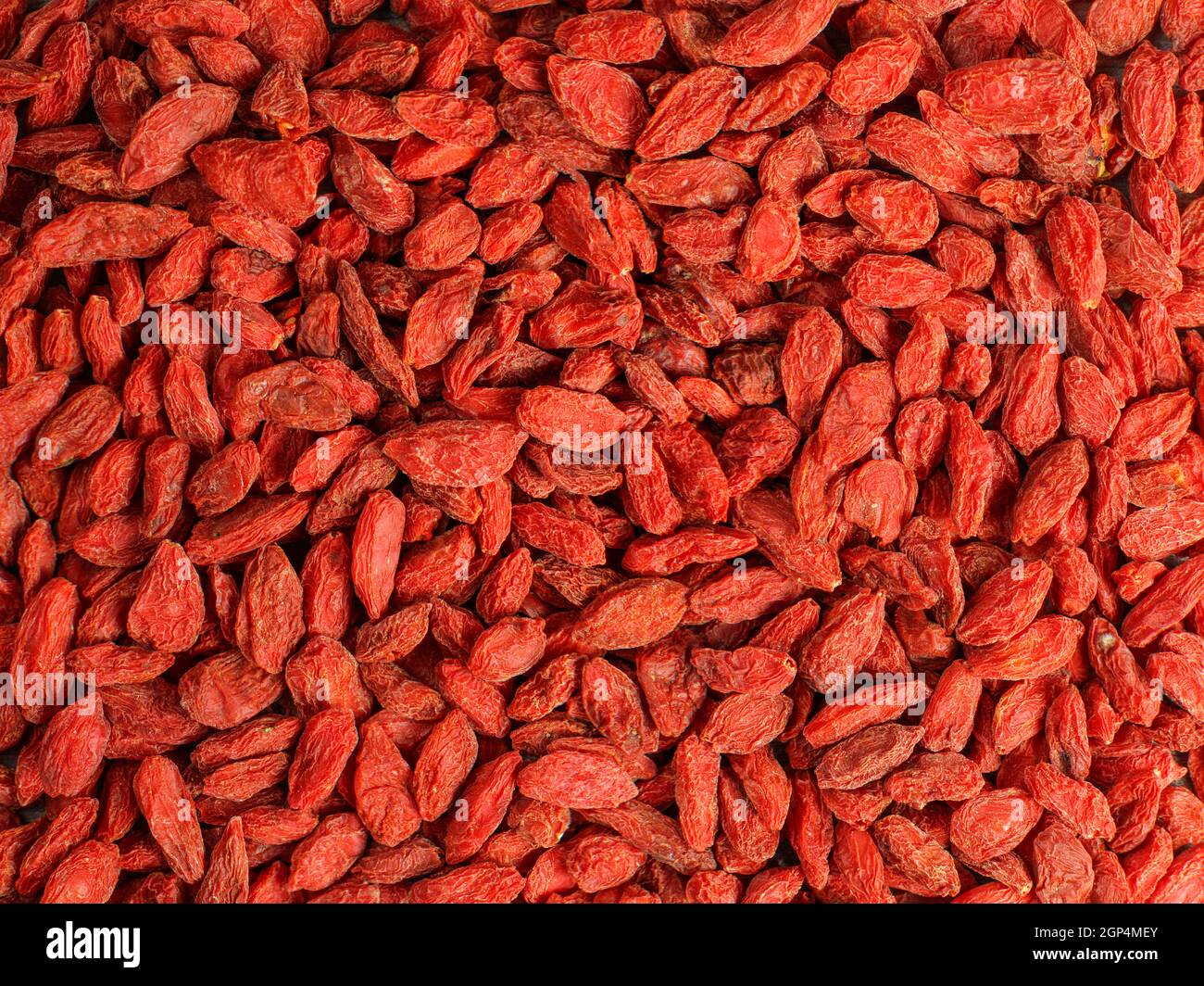 Detail high resolution closeup photo of goji berry (wolfberry - Lycium chinense) dried fruits heap shot from above. Stock Photo