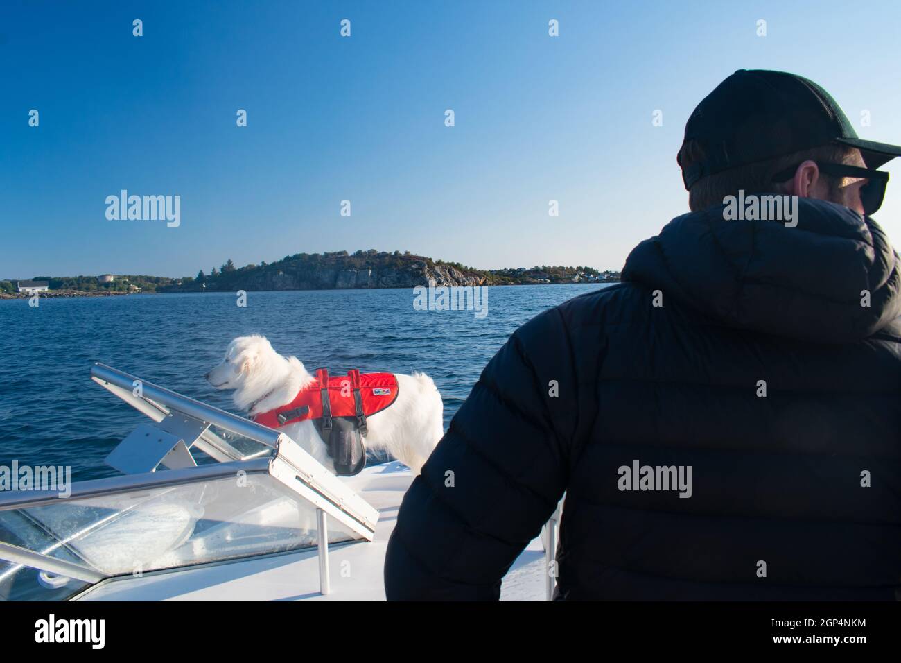 White Husky Dog On Motor Boat Wearing Orange Lifejacket with Water in Background Stock Photo