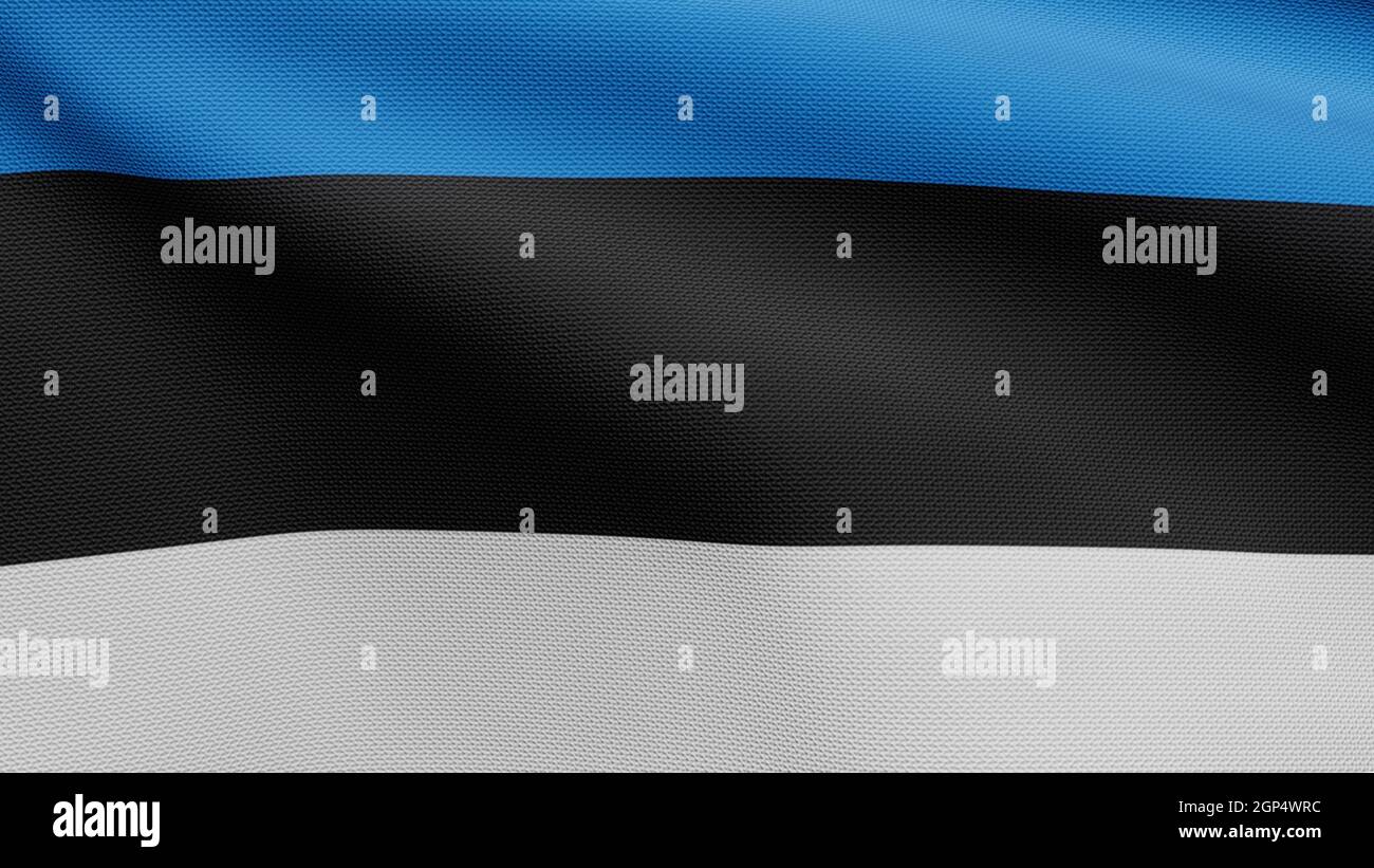 3D, Estonian flag waving on wind. Close up of Estonia banner blowing ...
