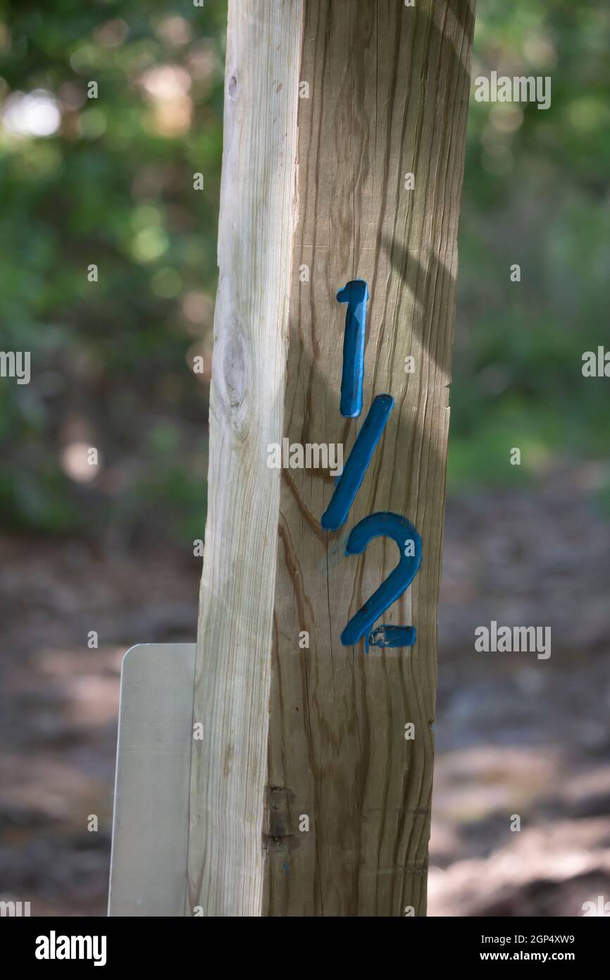Wooden post in nature marked as one-half (1/2) in blue numerals Stock ...