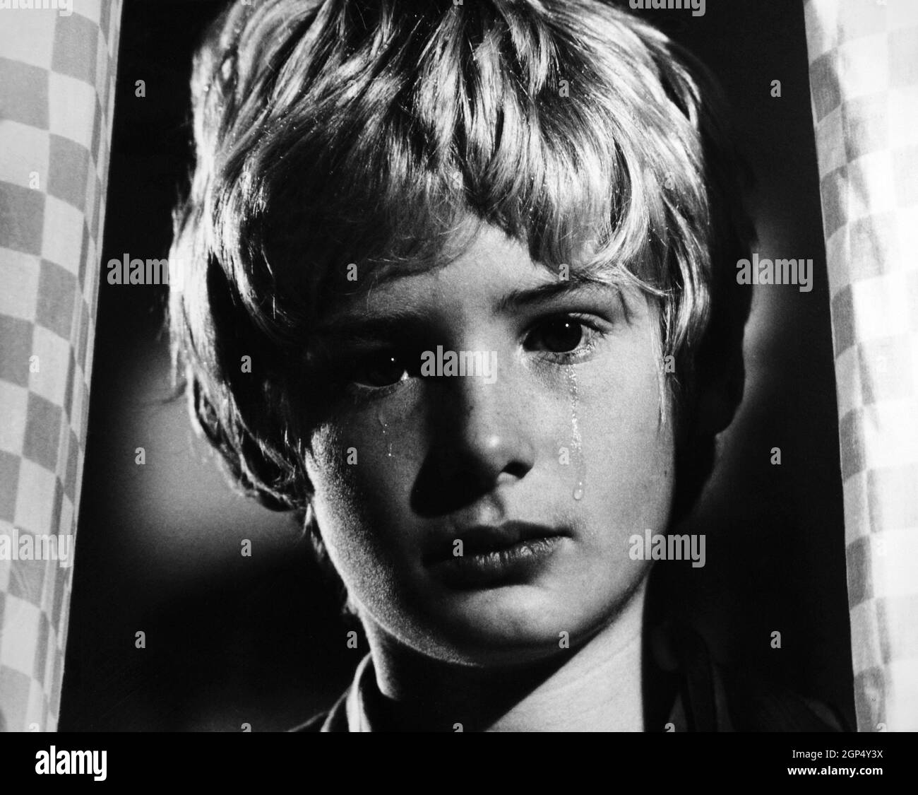 RUN WILD, RUN FREE, Mark Lester, 1969 Stock Photo Alamy