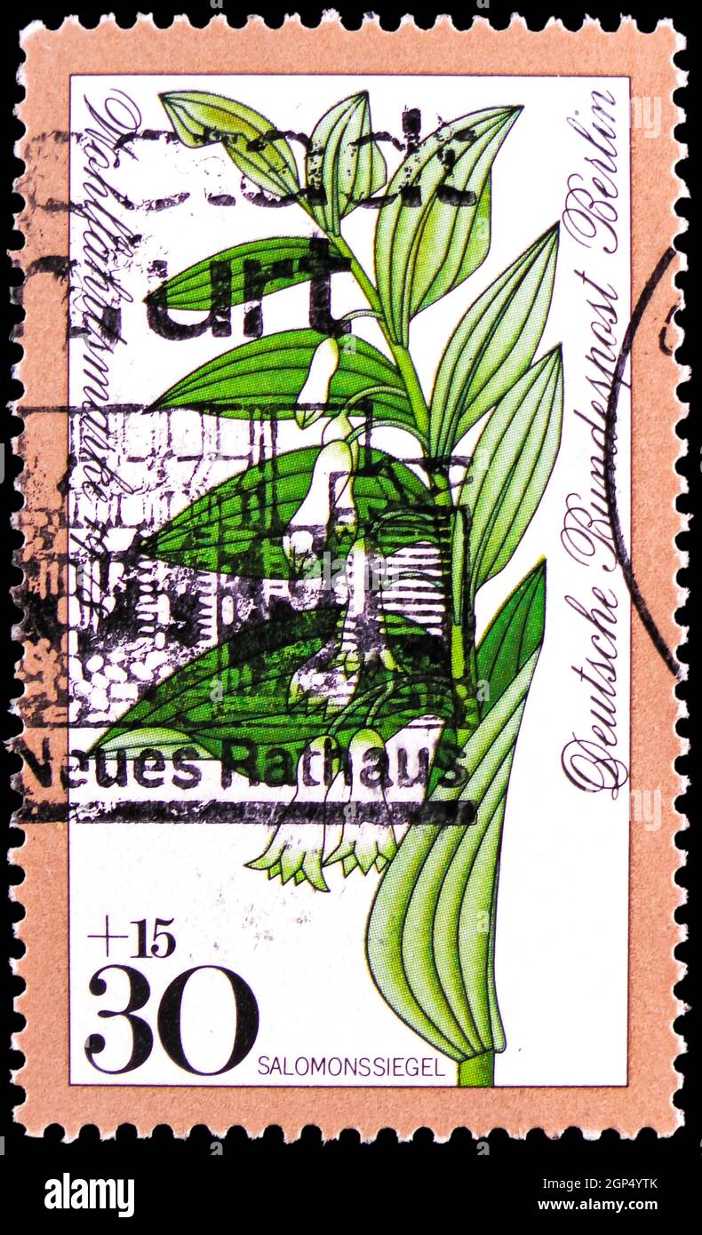 MOSCOW, RUSSIA - AUGUST 4, 2021: Postage stamp printed in Germany, Berlin, shows Solomons seal (Polygonatum odoratum), Welfare: Forest Flowers serie, Stock Photo