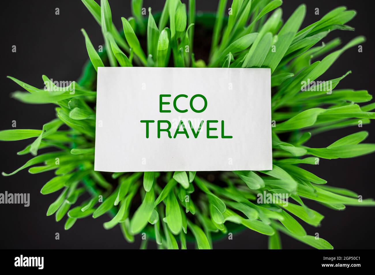 Top view of green grass with text eco travel Stock Photo