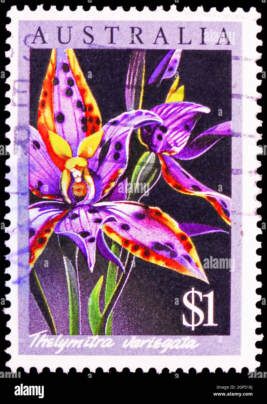 MOSCOW, RUSSIA - AUGUST 4, 2021: Postage stamp printed in Australia shows Queen of Sheba Orchid (Thelymitra variegata), Native Orchids serie, circa 19 Stock Photo